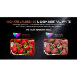 Acebeam Pokelit 2 X AA -Outdoor Flashlight Store Acebeam Pokelit 2AA 5