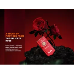 Fenix E03R V2.0 Seasonal Edition -Outdoor Flashlight Store fenix e03r v2 special 3